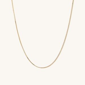 Mejuri Baby Box Chain Necklace in 14k Yellow Gold